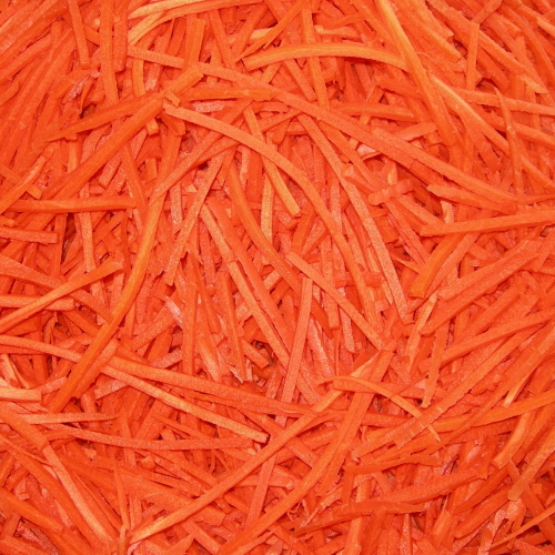 샘플