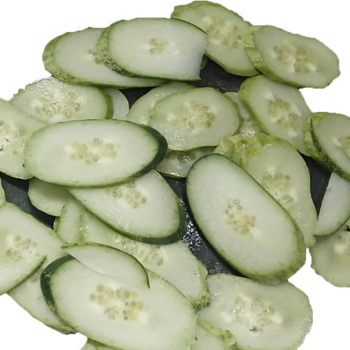 샘플