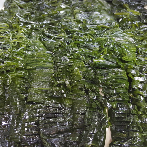 샘플