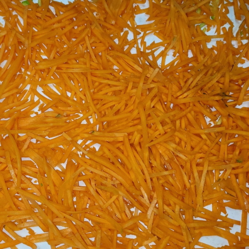 샘플